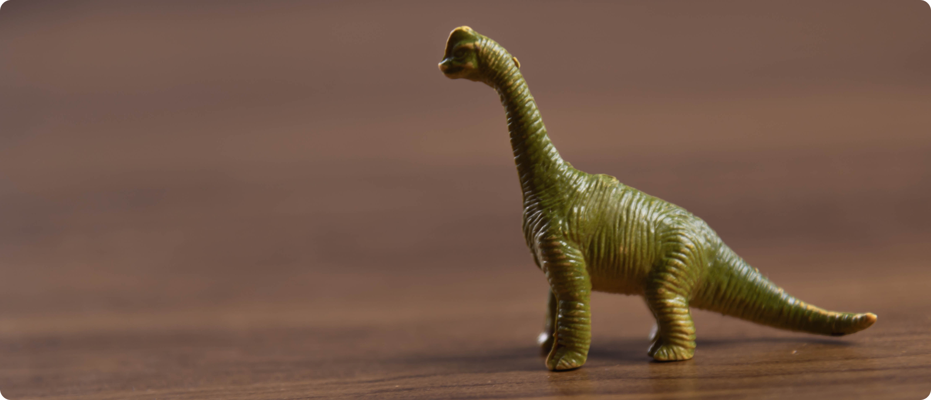 Toy dinosaur on wooden surface